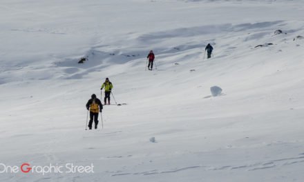Fundaluri de iarnă + Temă Windows 10 gratis